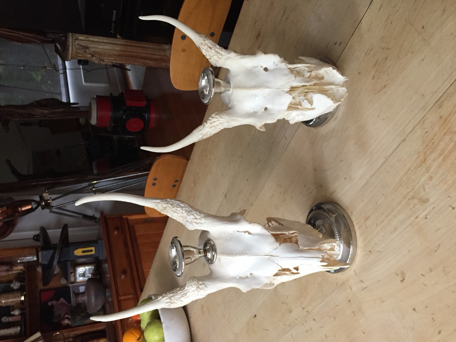 Pair of mounted horned skull candlesticks on silver-plate bases